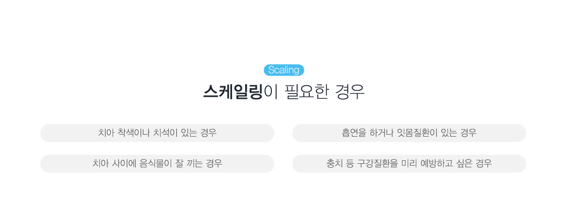 �����ϸ��� �ʿ��� ���