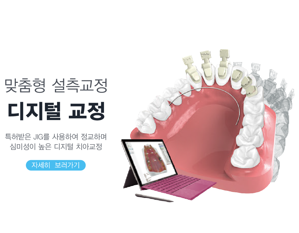 �����б���